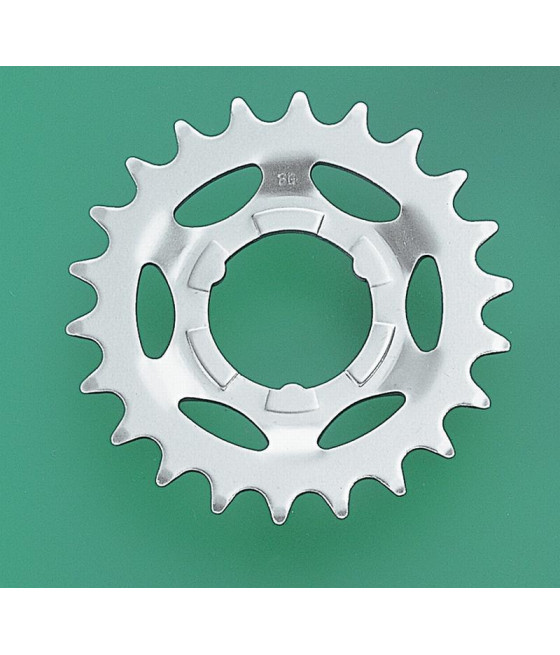 Steckritzel 18 Z