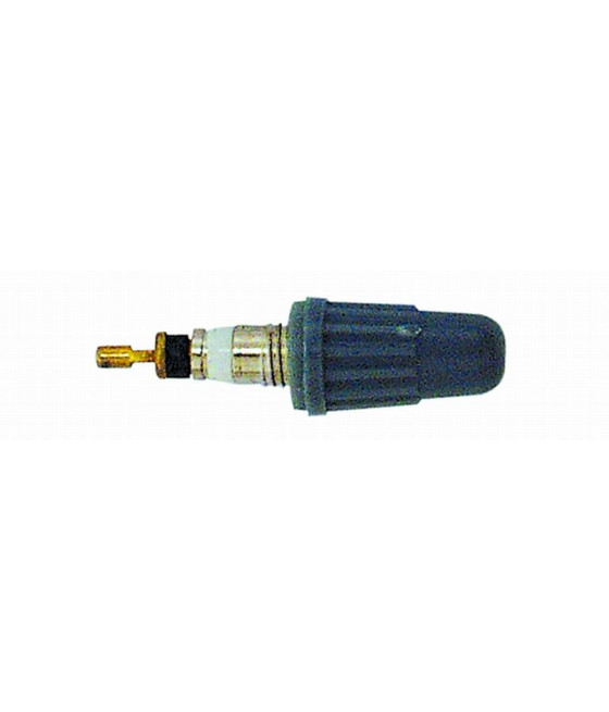 Schwalbe Ventileinsätze frz.